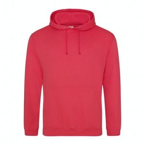 AWDIS JUST HOODS JH001 - Unisex Cozy Hooded Sweatshirt for All Seasons sky blue
