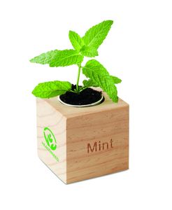 GiftRetail MO9337 - MENTA Herb pot wood "MINT" Wood