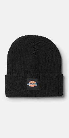 Dickies DK0A4XRY - EVADALE beanie (DT8003)